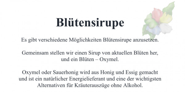 blutensirup-600x300-crop-51-7.jpg