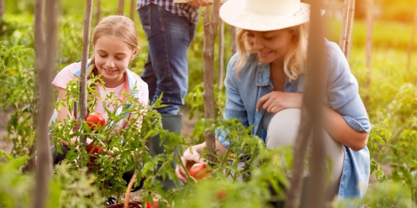 tante-emma-garten-shutterstock-593434751-verkleinert-600x300-crop-22-41.jpg